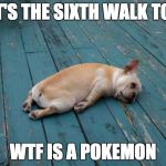 Tired dog | THAT'S THE SIXTH WALK TODAY WTF IS A POKEMON | image tagged in tired dog | made w/ Imgflip meme maker
