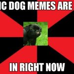 Empty Red And Black | EPIC DOG MEMES ARE SO; IN RIGHT NOW | image tagged in memes,empty red and black | made w/ Imgflip meme maker