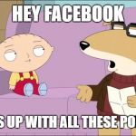 Questioning Vinny | HEY FACEBOOK; WHAT IS UP WITH ALL THESE
POLITICS? | image tagged in questioning vinny | made w/ Imgflip meme maker
