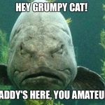 Grumpy Fish | HEY GRUMPY CAT! DADDY'S HERE, YOU AMATEUR. | image tagged in grumpy fish | made w/ Imgflip meme maker