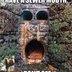 Sewer mouth | PEOPLE SAY, I HAVE A SEWER MOUTH. DON'T SEE IT, MYSELF . | image tagged in sewer mouth | made w/ Imgflip meme maker