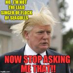 LOL | NO,  I'M NOT THE LEAD SINGER OF FLOCK OF SEAGULLS; NOW STOP ASKING ME THAT!! | image tagged in donald trump | made w/ Imgflip meme maker