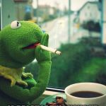 Kermit Smoking | THE ONLY REASON WHY I AM SMOKING THIS RIGHT NOW; IS BECAUSE THIS HAND UP MY ASS IS MAKING ME DO IT | image tagged in kermit,smoking,cigarette,ugly kermit,puppet | made w/ Imgflip meme maker