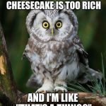 Owl | WHEN A FRIEND SAYS THAT CHEESECAKE IS TOO RICH; AND I'M LIKE "THAT'S A THING?" | image tagged in owl | made w/ Imgflip meme maker