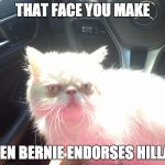 Sour Puss isn't happy | THAT FACE YOU MAKE WHEN BERNIE ENDORSES HILLARY | image tagged in bernie,hillary,sour puss | made w/ Imgflip meme maker