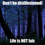 Dark forest | Don't be disillusioned! Life is NOT fair. | image tagged in dark forest | made w/ Imgflip meme maker