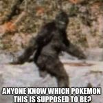 bigfoot | ANYONE KNOW WHICH POKEMON THIS IS SUPPOSED TO BE? | image tagged in bigfoot | made w/ Imgflip meme maker