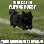 Rugby Cat | THIS CAT IS PLAYING RUGBY; YOUR ARGUMENT IS INVALID | image tagged in rugby cat,cats,cat,rugby,your argument is invalid | made w/ Imgflip meme maker