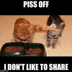 cats share food | PISS OFF; I DON'T LIKE TO SHARE | image tagged in cats share food | made w/ Imgflip meme maker