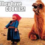 Happy Kid Camel | They have          COOKIES! | image tagged in happy kid camel | made w/ Imgflip meme maker