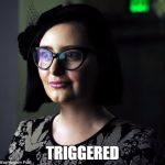 triggered | TRIGGERED | image tagged in triggered | made w/ Imgflip meme maker