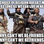 Why not? | YOUR CHOICE OF RELIGION DOESN'T MATTER TO ME, AS LONG AS WE CAN LIVE IN HARMONY; WHY CAN'T WE BE FRIENDS? WHY CAN'T WE BE FRIENDS? | image tagged in war on terror,memes | made w/ Imgflip meme maker