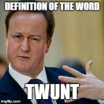 David Cameron | DEFINITION OF THE WORD; TWUNT | image tagged in david cameron | made w/ Imgflip meme maker