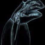 Kermit xray | X RAY REVEALS; HILLARY'S HAND UP BERNIE'S BUTT. | image tagged in kermit xray | made w/ Imgflip meme maker