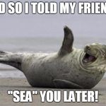laughing seal | AND SO I TOLD MY FRIENDS; "SEA" YOU LATER! | image tagged in laughing seal | made w/ Imgflip meme maker