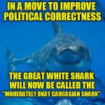 Bad Shark Pun  | IN A MOVE TO IMPROVE POLITICAL CORRECTNESS; THE GREAT WHITE SHARK WILL NOW BE CALLED THE; ''MODERATELY OKAY CAUCASIAN SHARK'' | image tagged in bad shark pun,funny meme,political correctness,joke,sharks,laugh | made w/ Imgflip meme maker