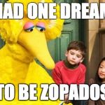 Big Bird Had One Dream | HAD ONE DREAM; TO BE ZOPADOS | image tagged in sad big bird,teaminstinct,pokemon go,hilarious,funny memes,pokemon | made w/ Imgflip meme maker