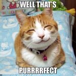 When you make a good meme | WELL THAT'S; PURRRRFECT | image tagged in thanks,memes,kitty,cats,thank you | made w/ Imgflip meme maker