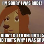 I'm Sorry I Was Rude! | I'M SORRY I WAS RUDE! I DIDN'T GO TO BED UNTIL 5 AM  AND THAT'S WHY I WAS GRUMPY. | image tagged in dixie exhausted,memes,disney,the fox and the hound 2,reba mcentire,dog | made w/ Imgflip meme maker