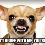Chihuahua | IF YOU DON'T AGREE WITH ME, YOU'RE A RACIST | image tagged in chihuahua | made w/ Imgflip meme maker