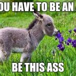 Little ass | IF YOU HAVE TO BE AN ASS; BE THIS ASS | image tagged in little ass | made w/ Imgflip meme maker