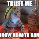 tequila cat | TRUST ME; U KNOW HOW TO DANCE | image tagged in tequila cat | made w/ Imgflip meme maker