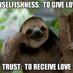 Wise Sloth gives definitions you may not have considered to two common words... | UNSELFISHNESS:  TO GIVE LOVE; TRUST:  TO RECEIVE LOVE | image tagged in wise sloth,meme,love,trust,selfishness | made w/ Imgflip meme maker