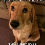 Puppy Eyes | WHAT IF I TOLD YOU THAT MOST OF THE TIME; THE PUPPY EYES TRICK ACTUALLY WORKS | image tagged in puppy eyes | made w/ Imgflip meme maker