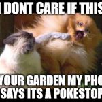 OMG Pokemon Go | I DONT CARE IF THIS; IS YOUR GARDEN MY PHONE SAYS ITS A POKESTOP | image tagged in omg pokemon go | made w/ Imgflip meme maker