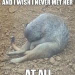 Sad meerkat | AND I WISH I NEVER MET HER; AT ALL | made w/ Imgflip meme maker