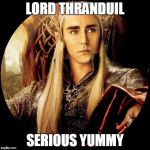 Thranduil circle | LORD THRANDUIL; SERIOUS YUMMY | image tagged in thranduil circle | made w/ Imgflip meme maker