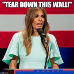 Melania Trump | "TEAR DOWN THIS WALL!" | image tagged in melania trump | made w/ Imgflip meme maker