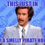 smelly hooker | THIS JUST IN; YOUR A SMELLY PIRATE HOOKER | image tagged in anchorman,nsfw,funny memes,pirates,hookers | made w/ Imgflip meme maker