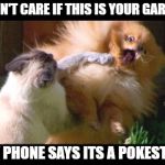 OMG Pokemon Go | I DON'T CARE IF THIS IS YOUR GARDEN; MY PHONE SAYS ITS A POKESTOP | image tagged in omg pokemon go | made w/ Imgflip meme maker