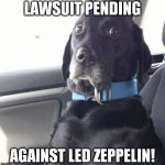 black lab wide eyed dog | LAWSUIT PENDING; AGAINST LED ZEPPELIN! | image tagged in black lab wide eyed dog | made w/ Imgflip meme maker