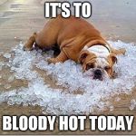 Hotdog | IT'S TO; BLOODY HOT TODAY | image tagged in hotdog,memes,funny,summer,warm weather | made w/ Imgflip meme maker