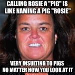 Rosie Pig | CALLING ROSIE A "PIG" IS LIKE NAMING A PIG "ROSIE"; VERY INSULTING TO PIGS NO MATTER HOW YOU LOOK AT IT | image tagged in rosie pig | made w/ Imgflip meme maker