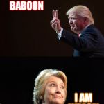 Trump and Hilary Comparison | I.R. BABOON; I AM WEASEL | image tagged in trump and hilary comparison | made w/ Imgflip meme maker