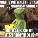 disgusted kermit | WHAT'S WITH ALL THIS TALK ABOUT COMMUNISM SUDDENLY? OH THAT'S RIGHT, IT'S FROM TROLLS | image tagged in disgusted kermit,this meme is trolling you,memes | made w/ Imgflip meme maker