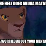 nala | WHAT THE HELL DOES AKUNA MATATA MEAN; I'M KINDA WORRIED ABOUT YOUR MENTAL HEALTH | image tagged in nala | made w/ Imgflip meme maker