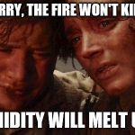 Lord of the rings  | DON'T WORRY, THE FIRE WON'T KILL US, SAM; THE HUMIDITY WILL MELT US FIRST | image tagged in lord of the rings | made w/ Imgflip meme maker
