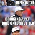 personal fowl | PERSONAL FOUL ON THE DEFENSE #81; BRINGING A PET BIRD ONTO THE FIELD | image tagged in funny,memes,ed hochuli,bad pun,bad pun ed hochuli,football | made w/ Imgflip meme maker