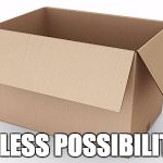 Empty Cardboard Box | ENDLESS POSSIBILITIES | image tagged in empty cardboard box | made w/ Imgflip meme maker