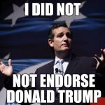 Ted's Trump Endorsement  | I DID NOT; NOT ENDORSE DONALD TRUMP | image tagged in things ted cruz never said,republican national convention | made w/ Imgflip meme maker