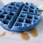 blue waffle meme