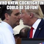 TRUMP CRUZ | WHO KNEW COCKFIGHTING COULD BE SO FUN! | image tagged in trump cruz | made w/ Imgflip meme maker