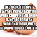 Life lessons 101 | LIFE HACK: THE BEST WAY TO PREVENT CRYING WHEN CHOPPING AN ONION, IS NOT TO FORM AN EMOTIONAL BOND WITH THE ONION PRIOR TO CUTTING. | image tagged in onions,life hack,memes,funny memes | made w/ Imgflip meme maker