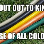 Kinky Hose | SHOUT OUT TO KINKY; HOSE OF ALL COLORS | image tagged in hose of all colors,original meme,meme,friskyfriday,garden,humor | made w/ Imgflip meme maker