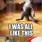 The feeling you get, when you come home after a great night, go to your favorite online forum to chat, and nobody is still up... | MY BAD I GUESS... I WAS ALL LIKE THIS; AND YOU WERE ALL LIKE THAT.... | image tagged in party cat | made w/ Imgflip meme maker