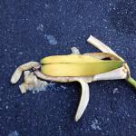 Dead Banana meme